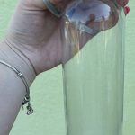 Steklenica za vodo 0,5L